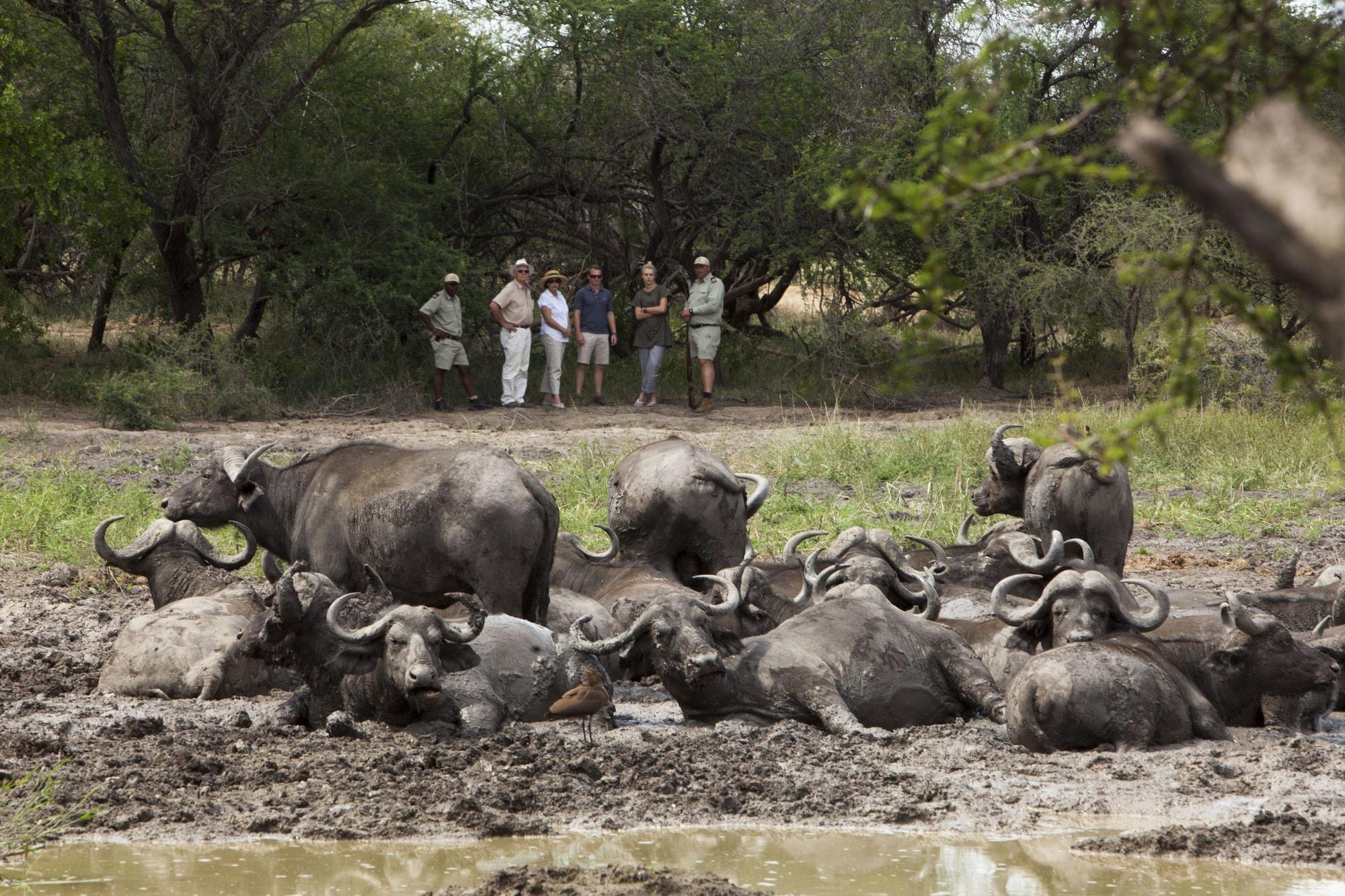 Kapama Southern Camp Hoedspruit Zewnętrze zdjęcie