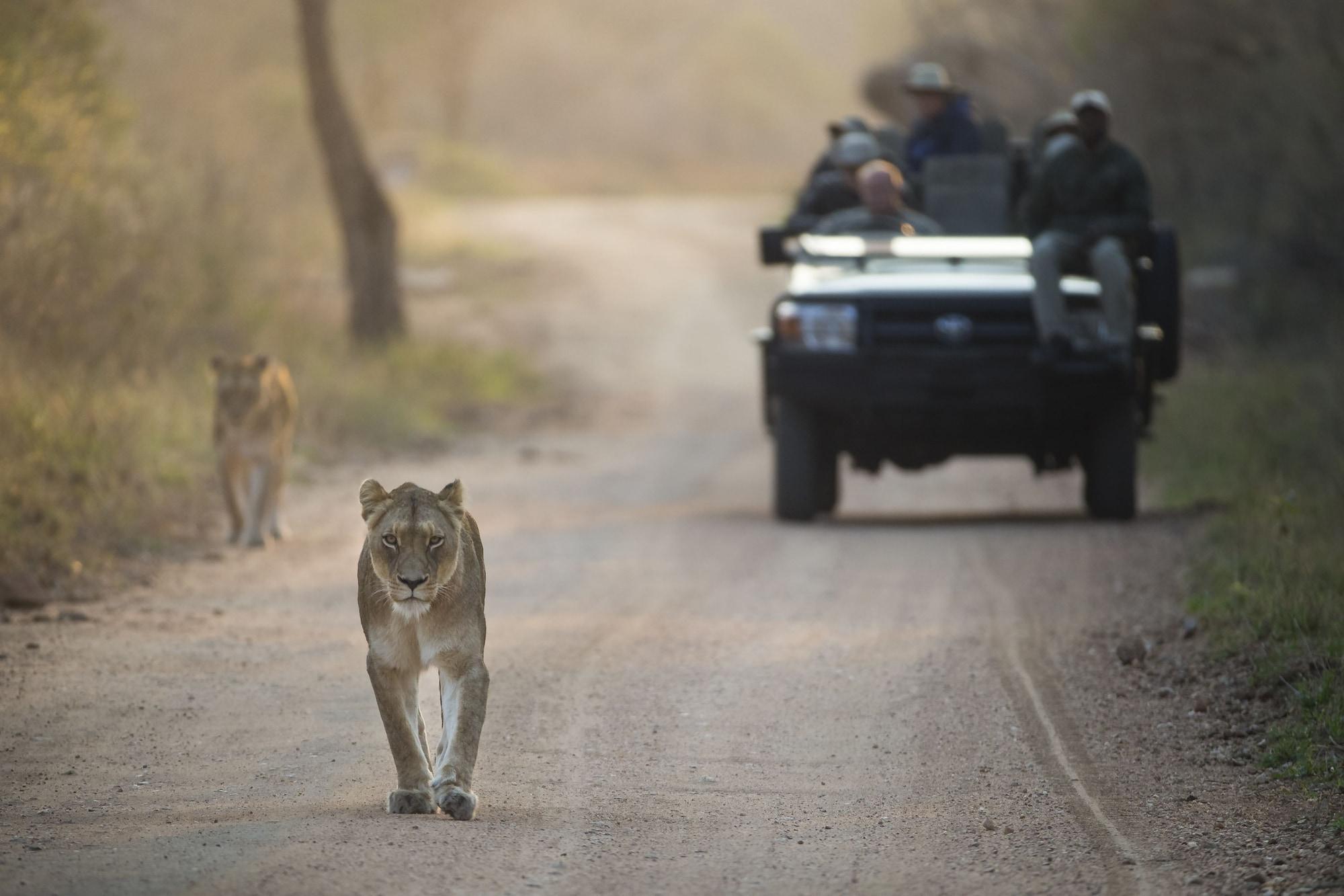 Kapama Southern Camp Hoedspruit Zewnętrze zdjęcie