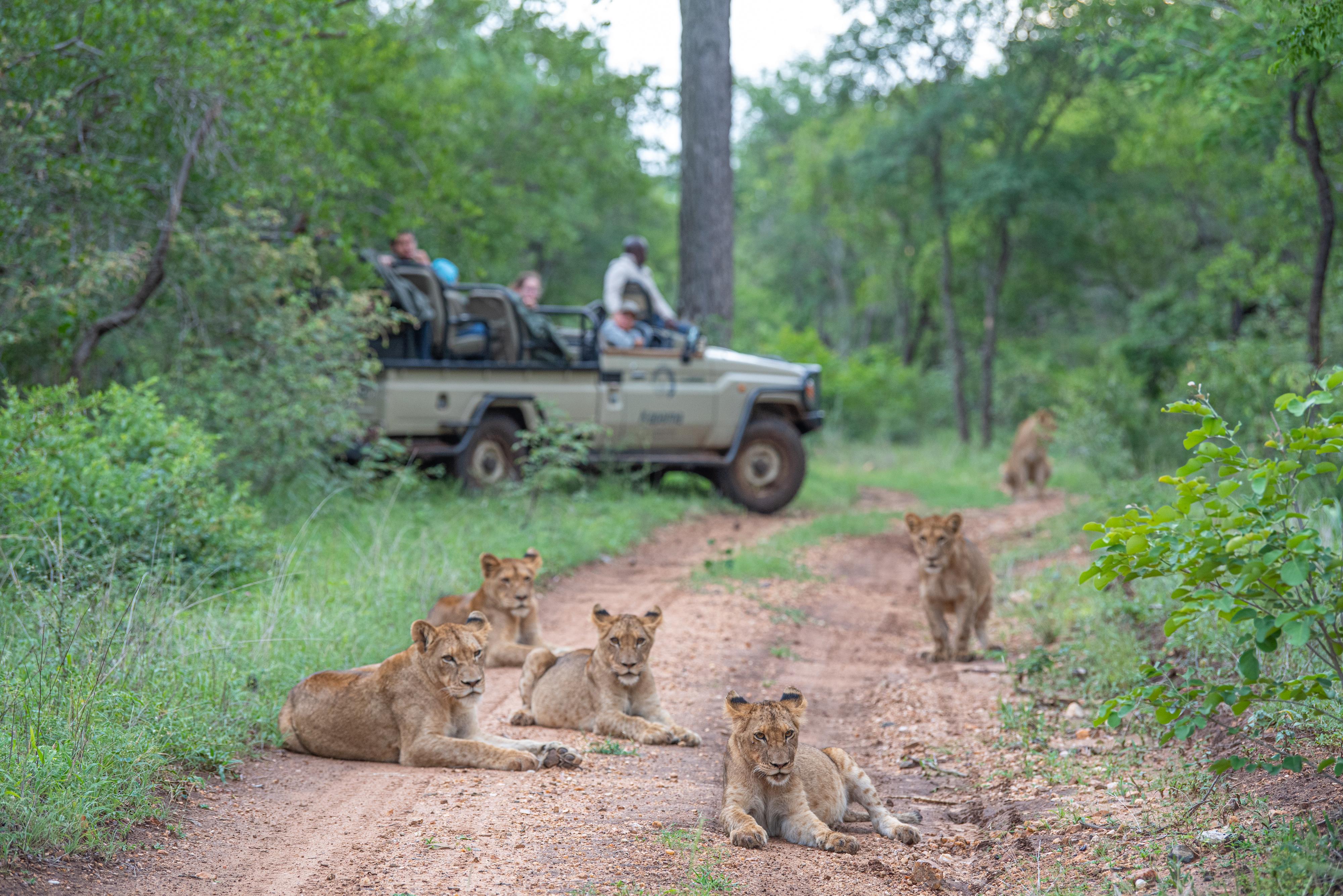 Kapama Southern Camp Hoedspruit Zewnętrze zdjęcie