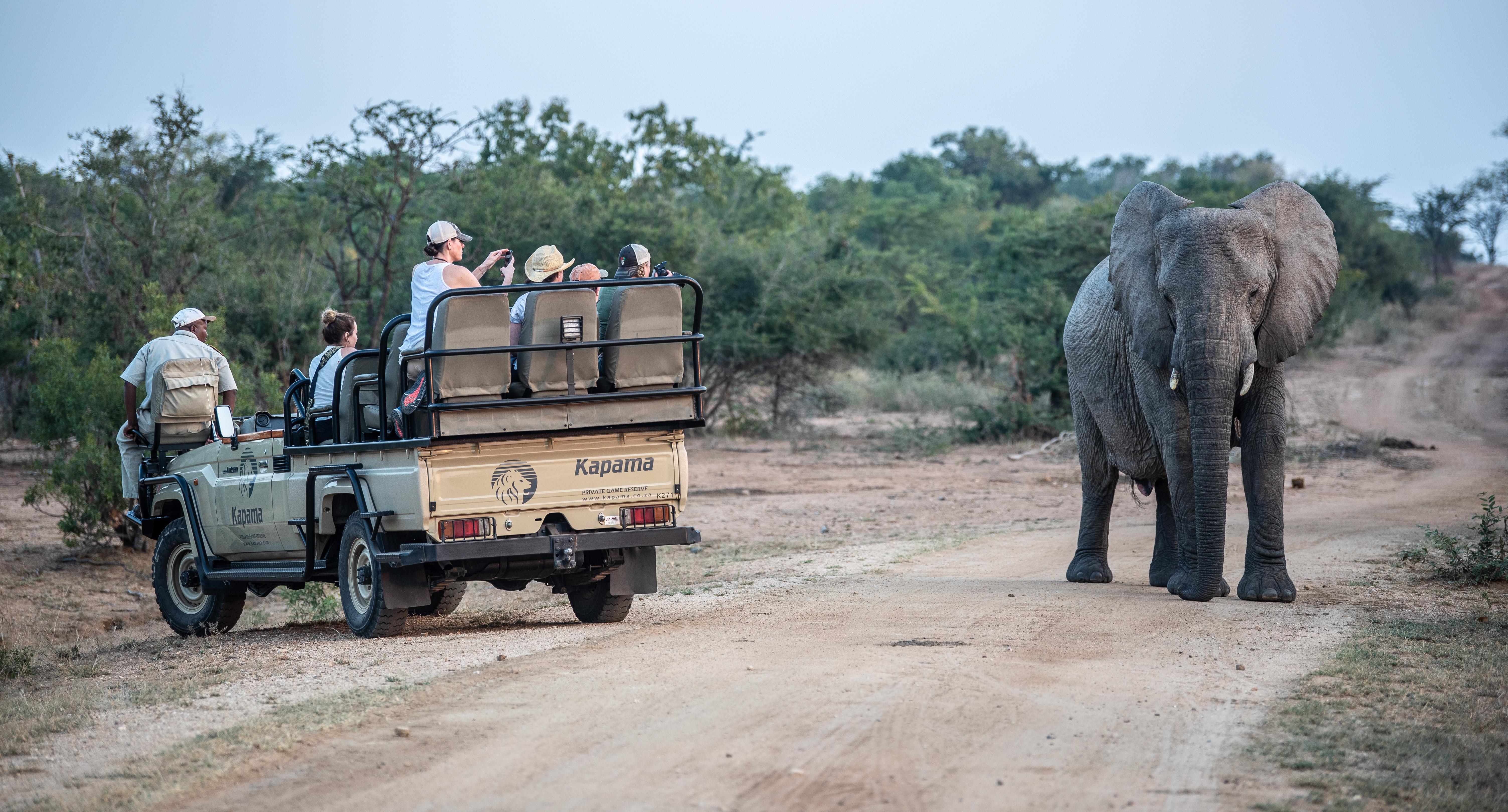 Kapama Southern Camp Hoedspruit Zewnętrze zdjęcie